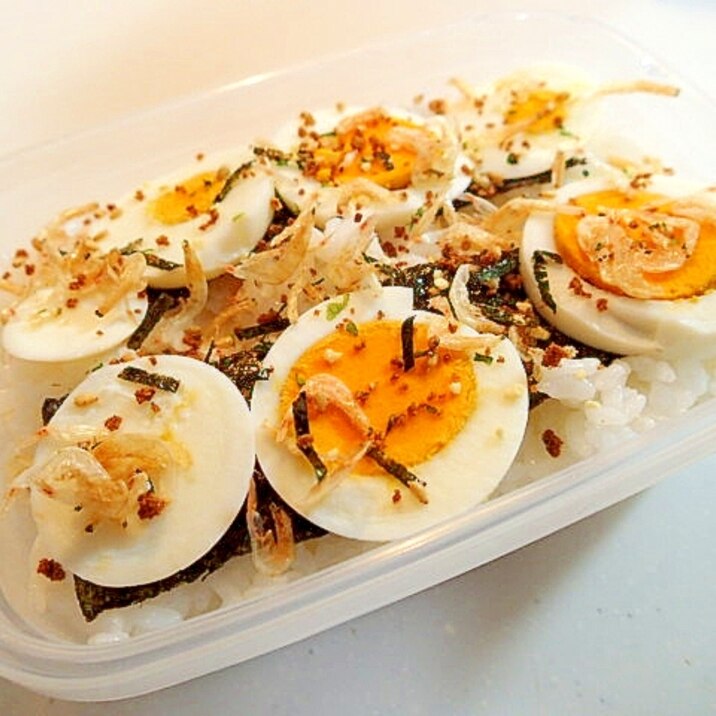 お弁当　味海苔とゆで卵と干しえびの小魚ふりかけご飯